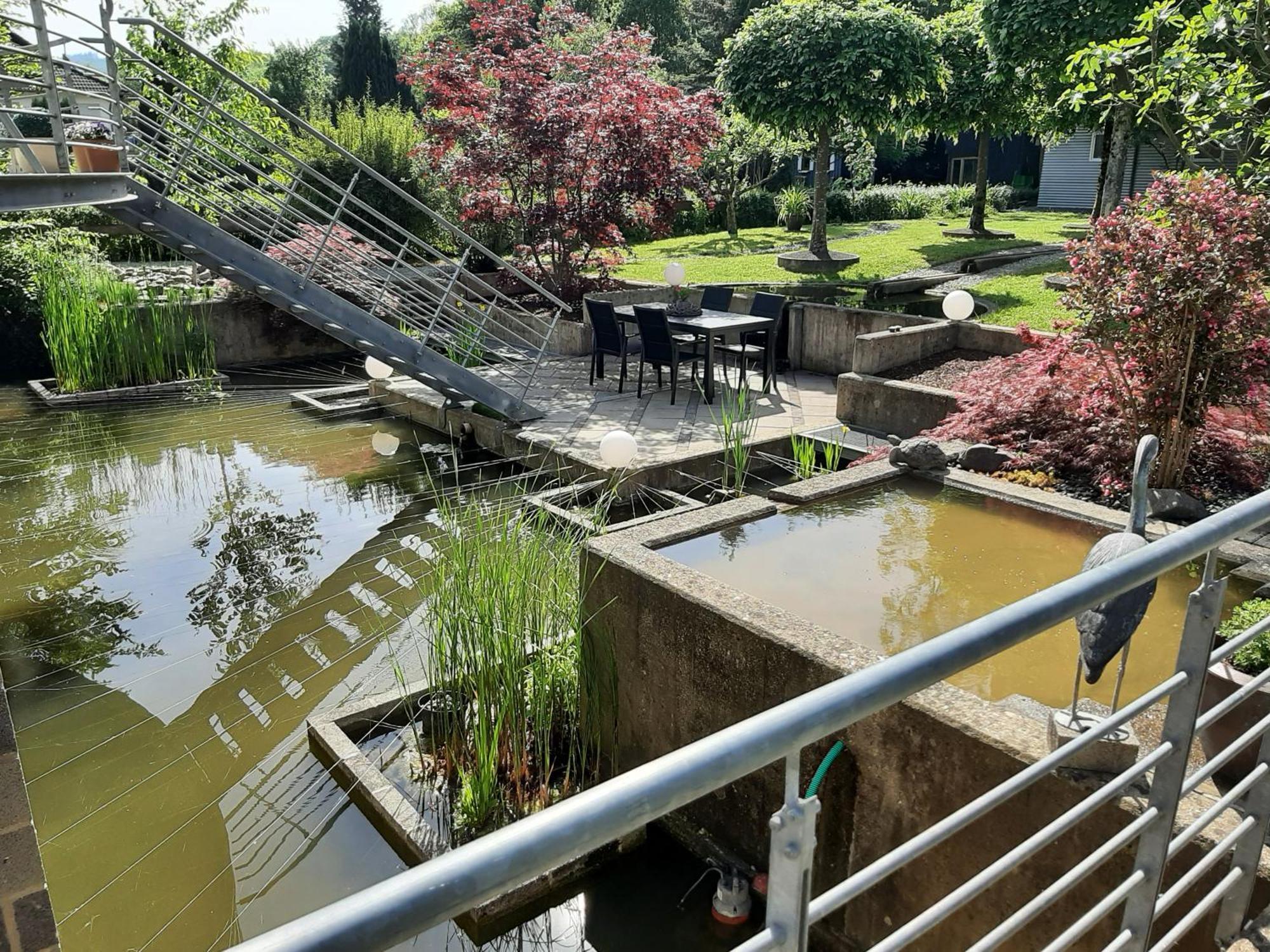 Ferienwohnung Sternenwald Alf Luaran gambar